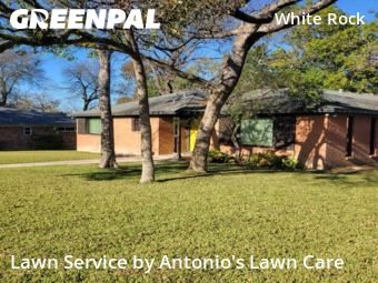 Lawn Cutin Dallas,75228,Lawn Mowing Service by Antonio's Lawn Care, work completed in Dec , 2025