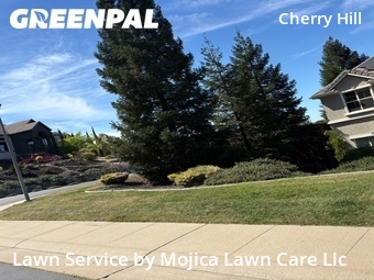 Work completed by lawn-care-experts-near-me-in-Rocklin-CA