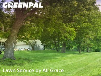 Lawn Cut nearby Kansas City, MO, 