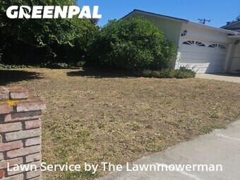 Lawn Cut nearby Campbell, CA, 