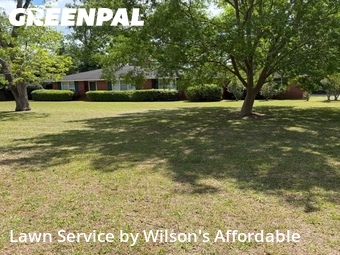Lawn Mowing nearby Valdosta, GA, 