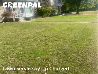 Grass Cutting nearby Dearborn, MI, 