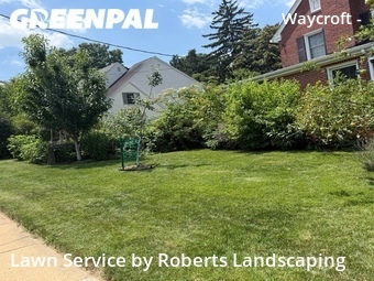 Lawn Service nearby Arlington, VA, 