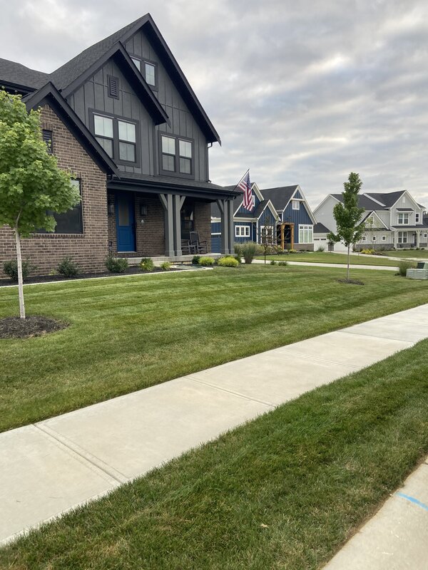 Work Image 5