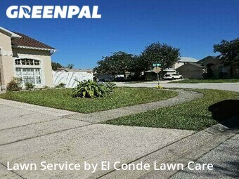 Lawn Cutting nearby Kissimmee, FL, 