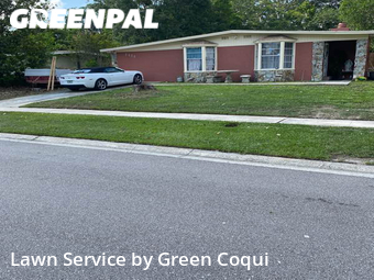 Lawn Care Service nearby Tampa, FL, 