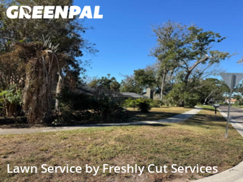 Grass Cuttingin Brandon,33511,Lawn Maintenance by Freshly Cut Services, work completed in Dec , 2025