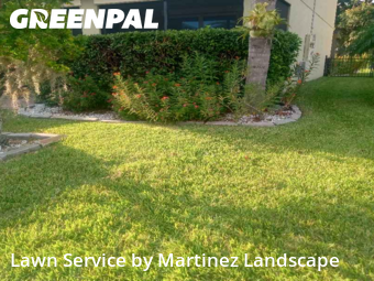 Yard Care in Tavares, 32778, Lawn Mowing by Martinez Landscape, work completed in Nov , 2025