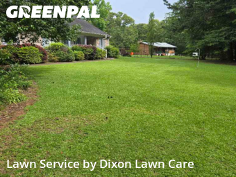 Grass Cut nearby Hampton, GA, 