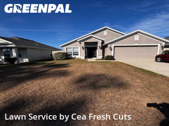 Yard Cutting nearby Ocala, FL, 