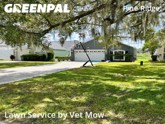 Lawn Mow nearby Wesley Chapel, FL, 