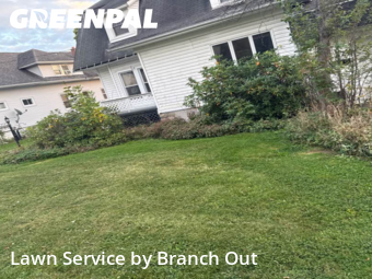 Lawn Care nearby Hamburg, NY, 