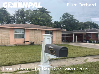 Lawn Maintenance nearby New Orleans, LA, 