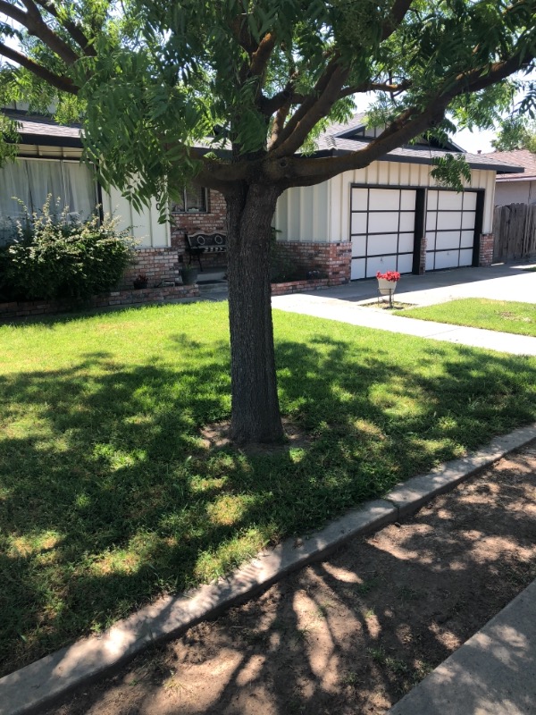 Lawn Mowing Contractor in Modesto, CA, 95351