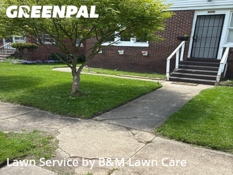 Lawn Cut nearby Gary, IL, 