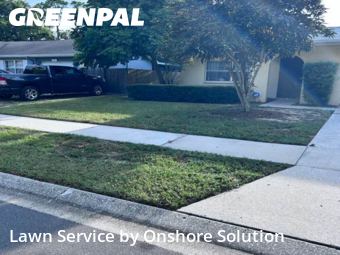 Yard Cutting nearby Palm Harbor, FL, 
