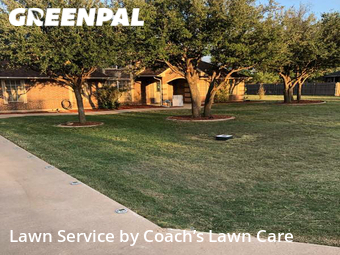 Lawn Cut nearby Abilene, TX, 