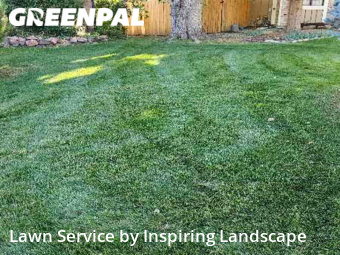 Grass Cutting nearby Centennial, CO, 