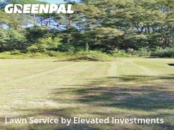 Lawn Cutting nearby Valdosta, GA, 