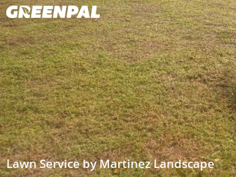 Landscaping Maintenance in Leesburg, 34788, Yard Services by Martinez Landscape, work completed in Dec , 2025