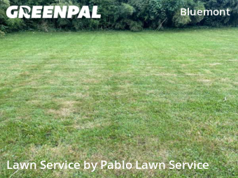 Yard Mowing nearby Arlington, VA, 