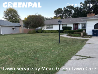 Lawn Cutting in Kansas City, 64114, Yard Work by Mean Green Lawn Care, work completed in Nov , 2025