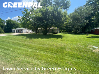 Lawn Mow nearby Smyrna, TN, 