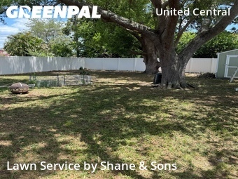 Yard Cutting nearby St. Petersburg, FL, 