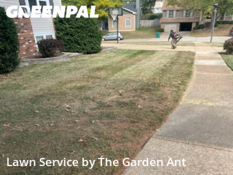 Yard Cuttingin Ballwin,63021,Lawn Cut by The Garden Ant , work completed in Dec , 2025