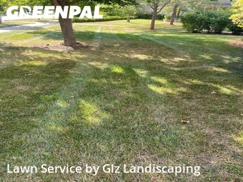 Backyard Mowing in Vernon Hills, 60061, Lawn Mowing by Glz Landiscaping, work completed in Nov , 2025
