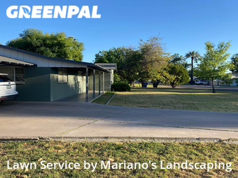 Grass Cut nearby Phoenix, AZ, 