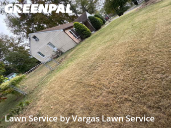 Property Maintenance in Bristol, 19007, Backyard Mowing by Vargas Lawn Service, work completed in Nov , 2025