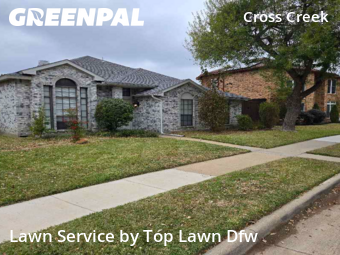 Landscaper In Plano,75025,Landscaping by Top Lawn Dfw, work completed in Dec , 2025