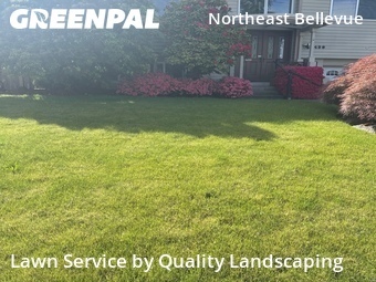 Grass Cutin Bellevue,98008,Lawn Mowing Service by Quality Landscaping, work completed in Jun , 2026
