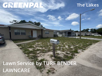 Yard Cutting nearby Port Richey, FL, 