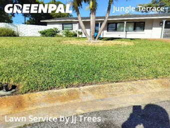 Lawn Cutting nearby St. Petersburg, FL, 