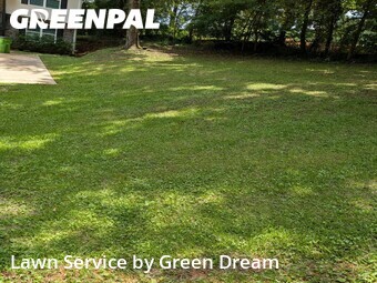 Lawn Cut nearby Springville, AL, 