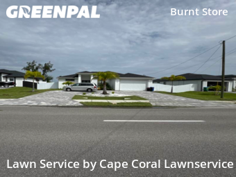 Lawn Mow nearby Cape Coral, FL, 
