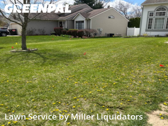 Lawn Mow nearby Grand Rapids, MI, 