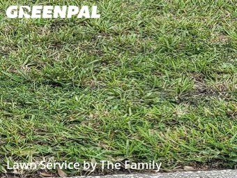 Lawn Cutting nearby Orlando, FL, 