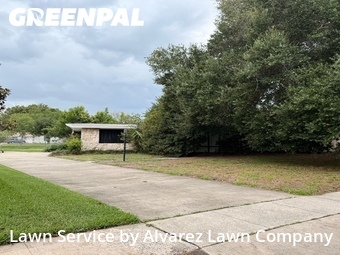 Lawn Mow nearby Winter Park, FL, 