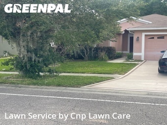 Grass Cut nearby Wesley Chapel, FL, 