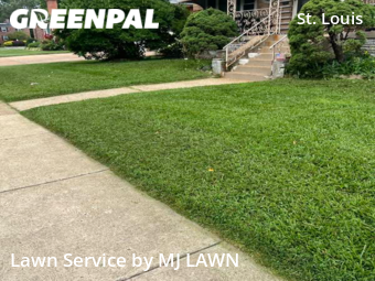 Lawn Mowing Servicein St Louis,63109,Yard Mowing by MJ LAWN, work completed in Nov , 2025
