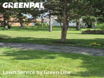 Lawn Mow nearby Downers Grove, IL, 