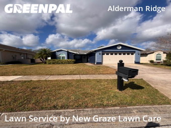 Lawn Care Service nearby Palm Harbor, FL, 