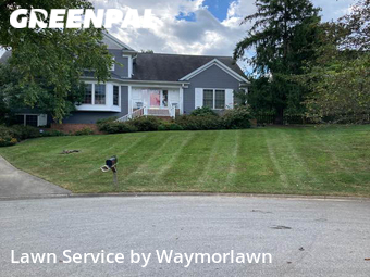 Yard Cutting nearby Louisville, KY, 