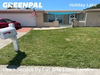 Grass Cutting nearby Holiday, FL, 