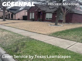 Landscaping Cleanup In Frisco,75035,Landscaping Cleanup by Texas Lawnscapes, work completed in Feb , 2026