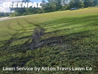 Yard Mowing nearby Punta Gorda, FL, 