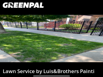 Lawn Mow nearby Chicago, IL, 